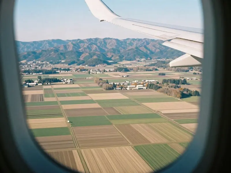 飛行機の窓から見える十勝の畑